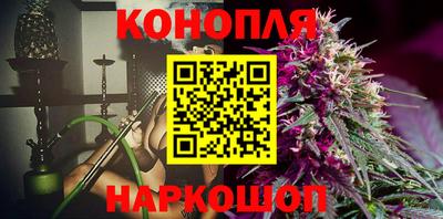 гашик Донской