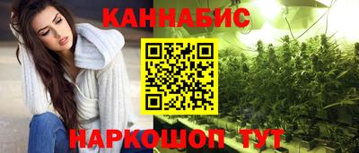 гашик Донской