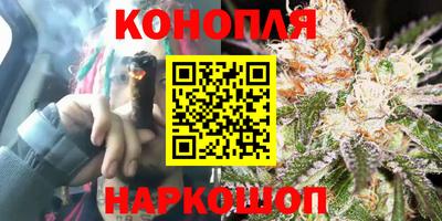 гашик Донской