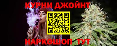гашик Донской