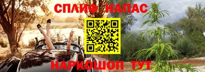 винт Донецк