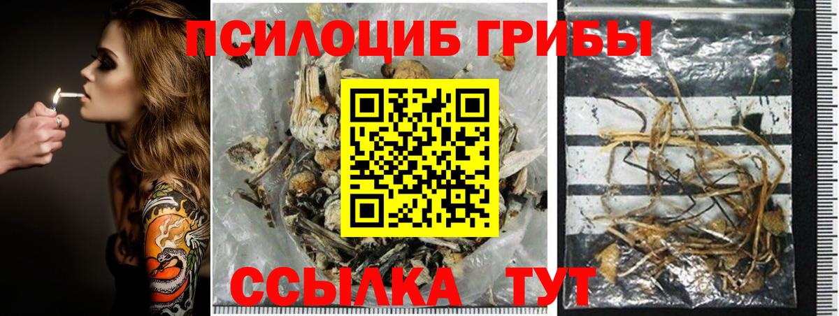 Георгиевск  Псилоцибиновые грибы MAGIC MUSHROOMS  Вход с VPN 
